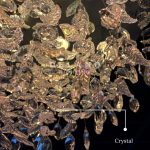 Lampu Plafon Kristal The Enchanted Blossom 69015 Luxury Gold